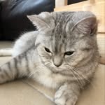 Tim Neufeld - @neufeld3004 - Instagram