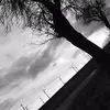 timneufeld01 - @timneufeld01 - TikTok