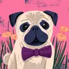 Tim Neuman - @tim.neuman5 - TikTok