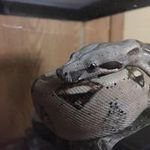 Tim Nickerson - @nickerson_tim - Instagram