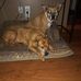 Tim Nieman - Facebook