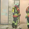 Tim - @niemann.tim - TikTok