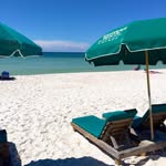 Tim Niemann - @timniemann42 - Instagram