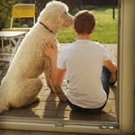 Tim Niemann - @tim_23.3 - Instagram