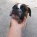 Tim Nobles - Facebook