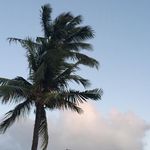 Tim Nobles - @timmy.nobles - Instagram