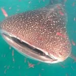 Tim North - @north_tim - Instagram