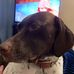 Tim North - Facebook