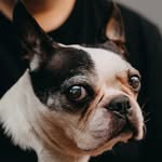 Tim North - @tim_north - Instagram