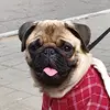 Артем Бондаренко - @northerntim - TikTok
