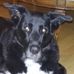 Tim O'Donnell - Facebook