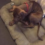 Tim Olsen - @timolsen3193 - Instagram