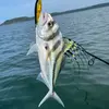 Tim Olsen - @tim.olsen11 - TikTok