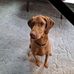 Tim Olson - Facebook