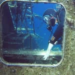 Tim Oster - @_osterdiver_ - Instagram
