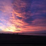 Tim Oswald - @timoswald99 - Instagram