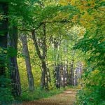 Timo - @timos_wald - Instagram