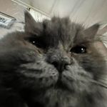 Tim Ouellette - @tim.oue - Instagram