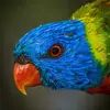 Tim Packer - @2164839392 - TikTok