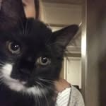 Panther + Timothy World - @timothy.panther - Instagram