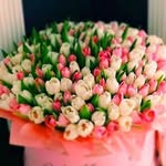 Anna - @paradiso_tim - Instagram