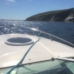 Tim Parrott - @parrotttmp - Instagram