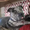 Tim Patton - @timpatton122392 - TikTok