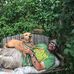 Timothy Paulus - Facebook