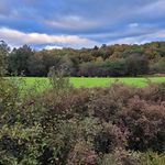 Tim Pence - @nybooner - Instagram