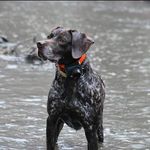 Tim Peterson - @timpeterson22 - Instagram