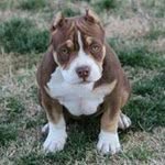 @tim.phoenix - Instagram