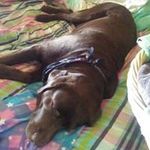 Tim Pickering - @tim.pickering.5492 - Instagram