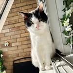 Tim Pinder - @tim_pinder - Instagram
