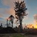 Timothy Plaisted - Facebook