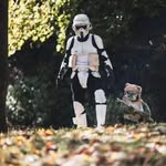 Tim Platt - @platty.81 - Instagram
