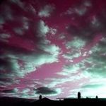 Tim Platt - @timplatt67 - Instagram
