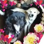 Tim Plowman - Facebook