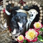 Tim Plowman - Facebook