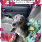 Timothy Plowman - Facebook