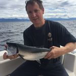 Tim Pocock - @tjpocock63 - Instagram