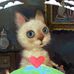 Tim Poll - Facebook