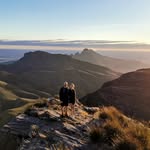 Tim Pollitt - @tim.pollitt - Instagram