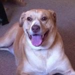 Tim Pollock - @tim.pollock69 - Instagram