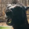 TimPollock79 - @timpollock79 - TikTok
