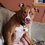 Tim Poulin - @tim.poulin.7 - Instagram
