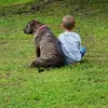 Tim Prichard - @tim.prichard - TikTok