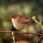 Tim Priestley - @come_fly_with_me_77 - Instagram