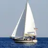 Timothy Pruss829 - @tlp0591 - TikTok
