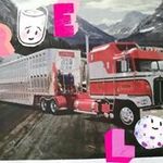 Tim Pullen - @pullen9241 - Instagram