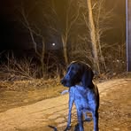 Tim Quick - Facebook